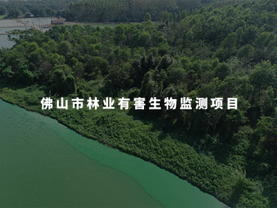佛山市林業(yè)有害生物監(jiān)測(cè)項(xiàng)目